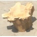 Teak Root Stump Bowl