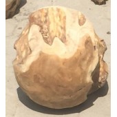 Teak Root  Ball 